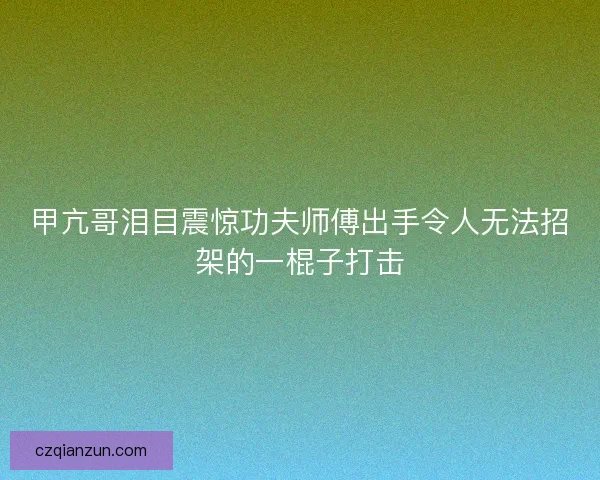 甲亢哥泪目震惊功夫师傅出手令人无法招架的一棍子打击