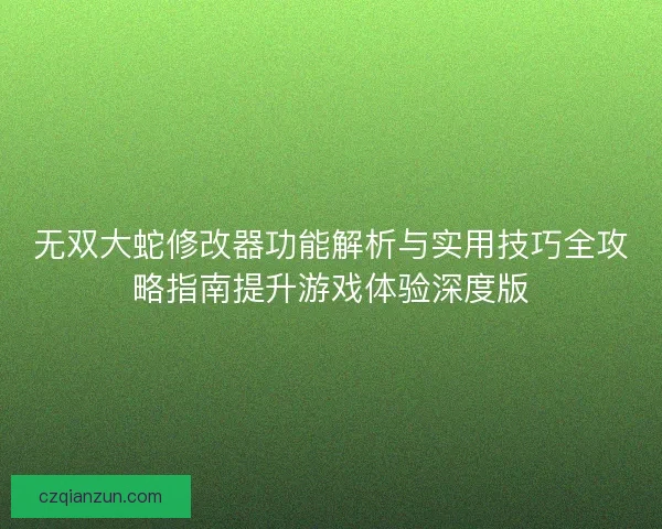 无双大蛇修改器功能解析与实用技巧全攻略指南提升游戏体验深度版